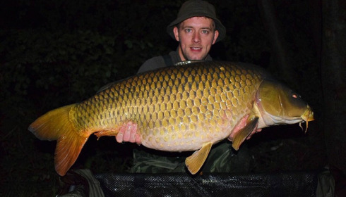 A carp from Brocard Large, May 2018