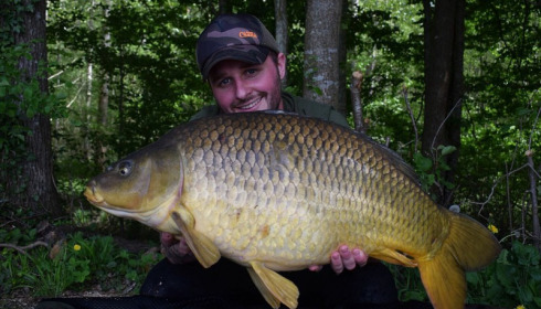 A carp from Brocard Large, May 2018