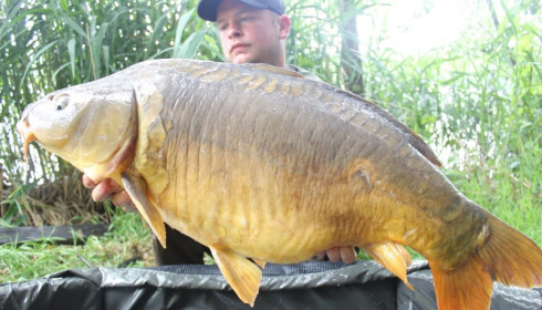 A 34 lb 1 oz carp from Brocard Large, Jun 2014