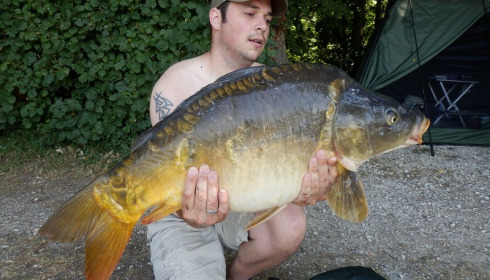A carp from Brocard Large, Swim 7, Jul 2015