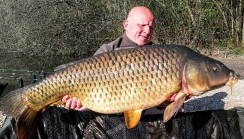A 55 lb carp from Brocard Large, Fred - Swim 12, Apr 2016