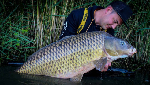 A carp from Brocard Large, Swim 11, Sep 2017