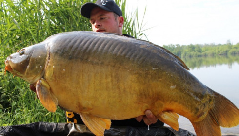 A 36 lb 3 oz carp from Brocard Large, Jun 2014