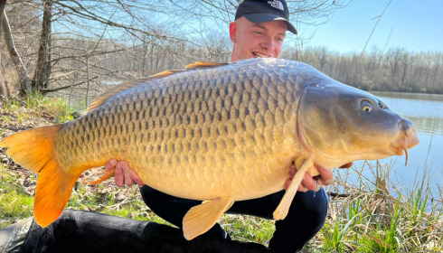 A carp from Brocard Large, Apr 2022