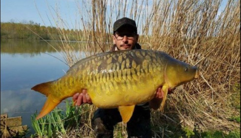 A carp from Brocard Large, Apr 2019
