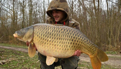 A carp from Brocard Large, Feb 2016