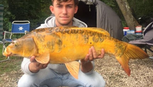 A carp from Brocard Large, Swim 10, Sep 2017