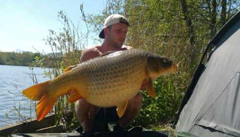 A carp from Brocard Large, Swim 5, May 2016