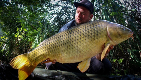 A carp from Brocard Large, Swim 11, Sep 2017