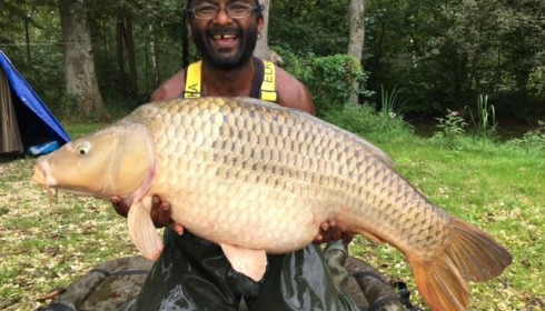 A carp from Brocard Large, Swim 9, Sep 2017