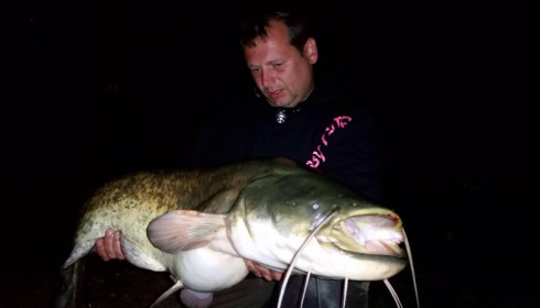 A catfish from Brocard Large, Oct 2014
