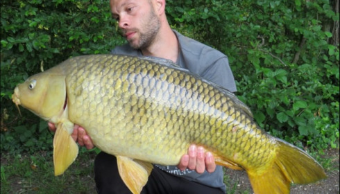 A carp from Brocard Large, Jul 2019