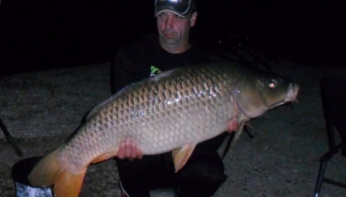 A carp from Brocard Large, Swim 11 , Aug 2015