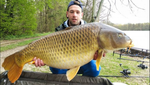 A 44 lb carp from Brocard Large, Apr 2019