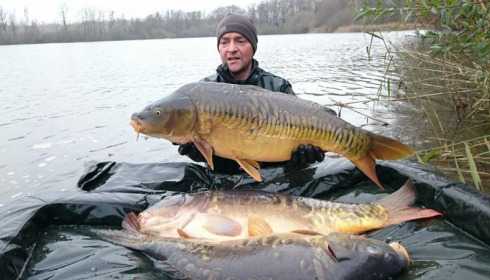 A carp from Brocard Large, 2014 Netting / Stock Check, Dec 2014