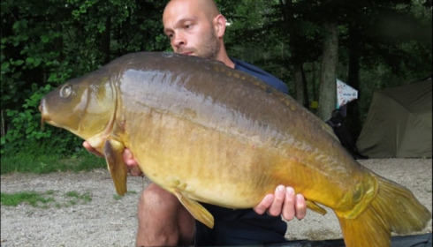 A carp from Brocard Large, Jul 2019