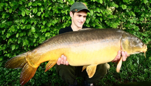 A carp from Brocard Large, Swim 7, May 2015