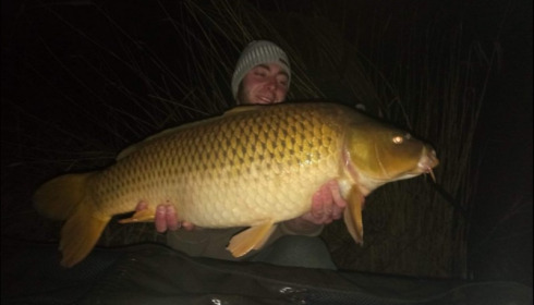 A carp from Brocard Large, Apr 2019