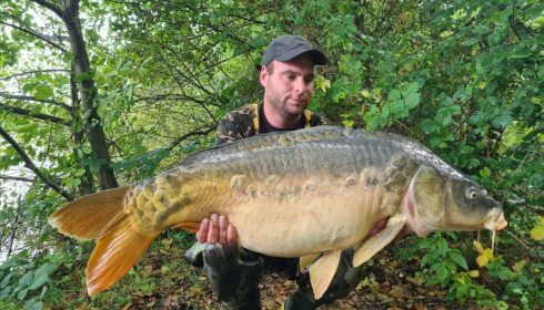 A carp from Brocard Large, Sep 2021