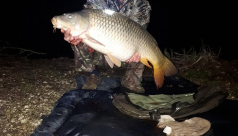A carp from Brocard Large, Mar 2019