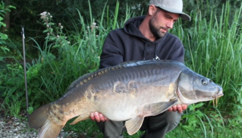 A carp from Brocard Large, Aug 2016