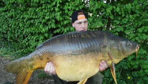A carp from Brocard Large, Swim 7, May 2015