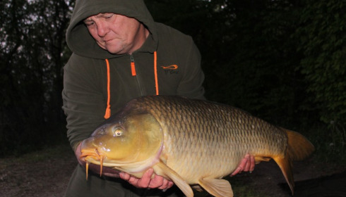 A carp from Brocard Large, Jack Hammond, Apr 2016