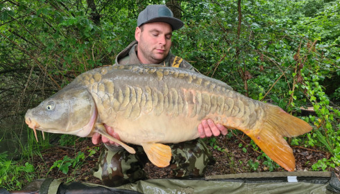 A carp from Brocard Large, Jun 2022