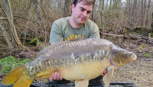 A carp from Brocard Large, Apr 2023