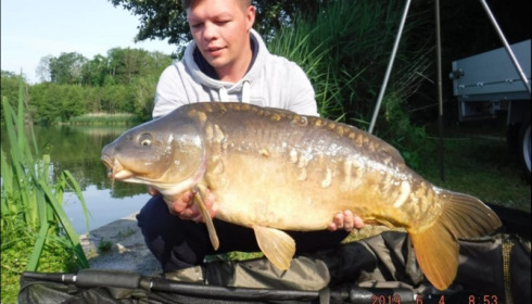 A carp from Brocard Large, Jun 2019