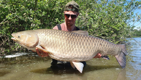 A grass carp from Brocard Large, May 2022