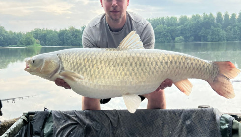 A grass carp from Brocard Large, Jun 2022