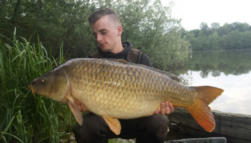 A carp from Brocard Large, Swim 10, Jun 2015
