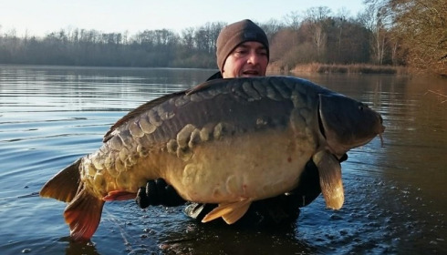 A carp from Brocard Large, 2014 Netting / Stock Check, Dec 2014