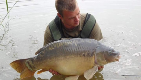 A carp from Brocard Large, Swim 5, Sep 2015