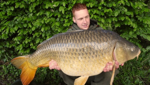 A carp from Brocard Large, Swim 7, May 2015