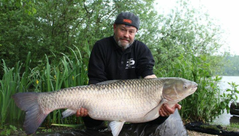 A carp from Brocard Large, May 2018