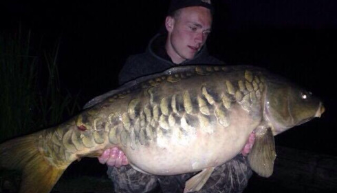 A carp from Brocard Large, Swim 10, Jun 2015
