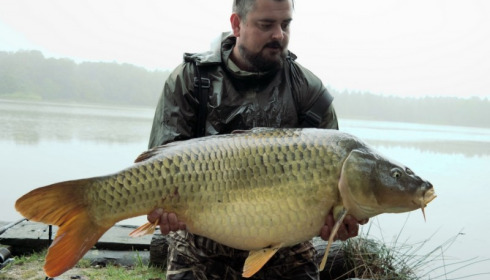 A 34 lb 8 oz carp from Brocard Large, Andy Gilbert, Sep 2016