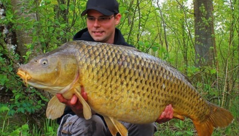 A carp from Brocard Large, Markus Haberleitner - Swim 9, May 2015