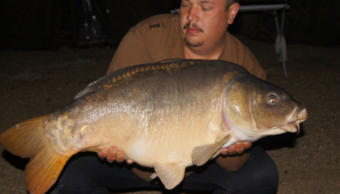 A carp from Brocard Large, Sep 2015