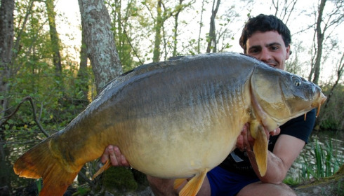 A 48 lb 6 oz carp from Brocard Large, Swim 10, Apr 2015