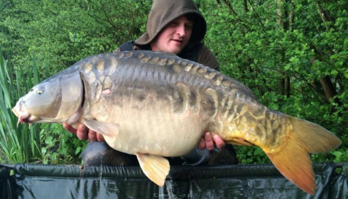 A carp from Brocard Large, Swim 12, May 2015
