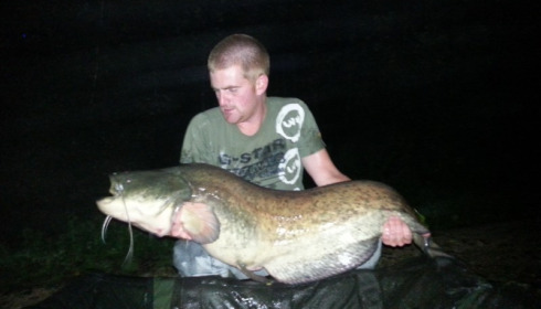 A catfish from Brocard Large, Swim 5, Nov 2014