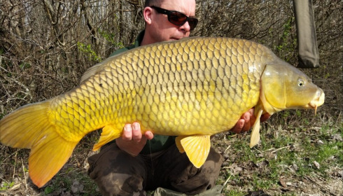 A carp from Brocard Large, Mar 2019