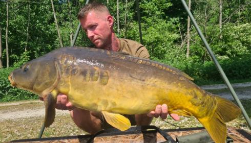 A carp from Brocard Large, May 2022