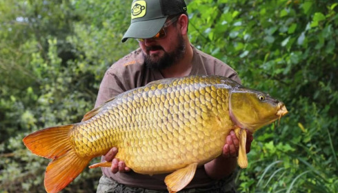 A carp from Brocard Large, Jul 2017