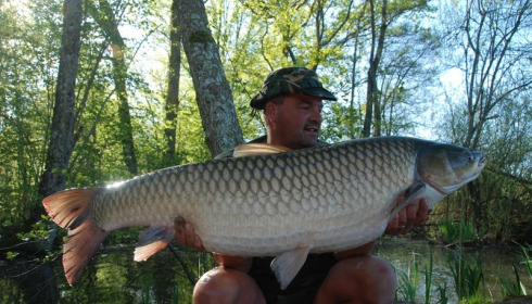 A 54 lb carp from Brocard Large, Swim 10, Apr 2015