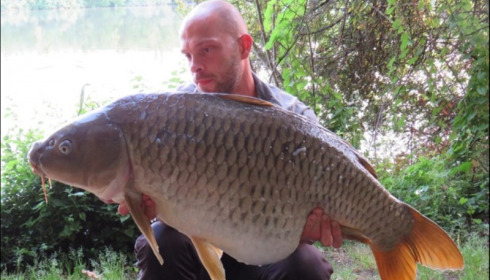 A carp from Brocard Large, Jul 2019