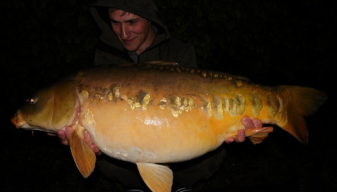A carp from Brocard Large, Swim 7, May 2015